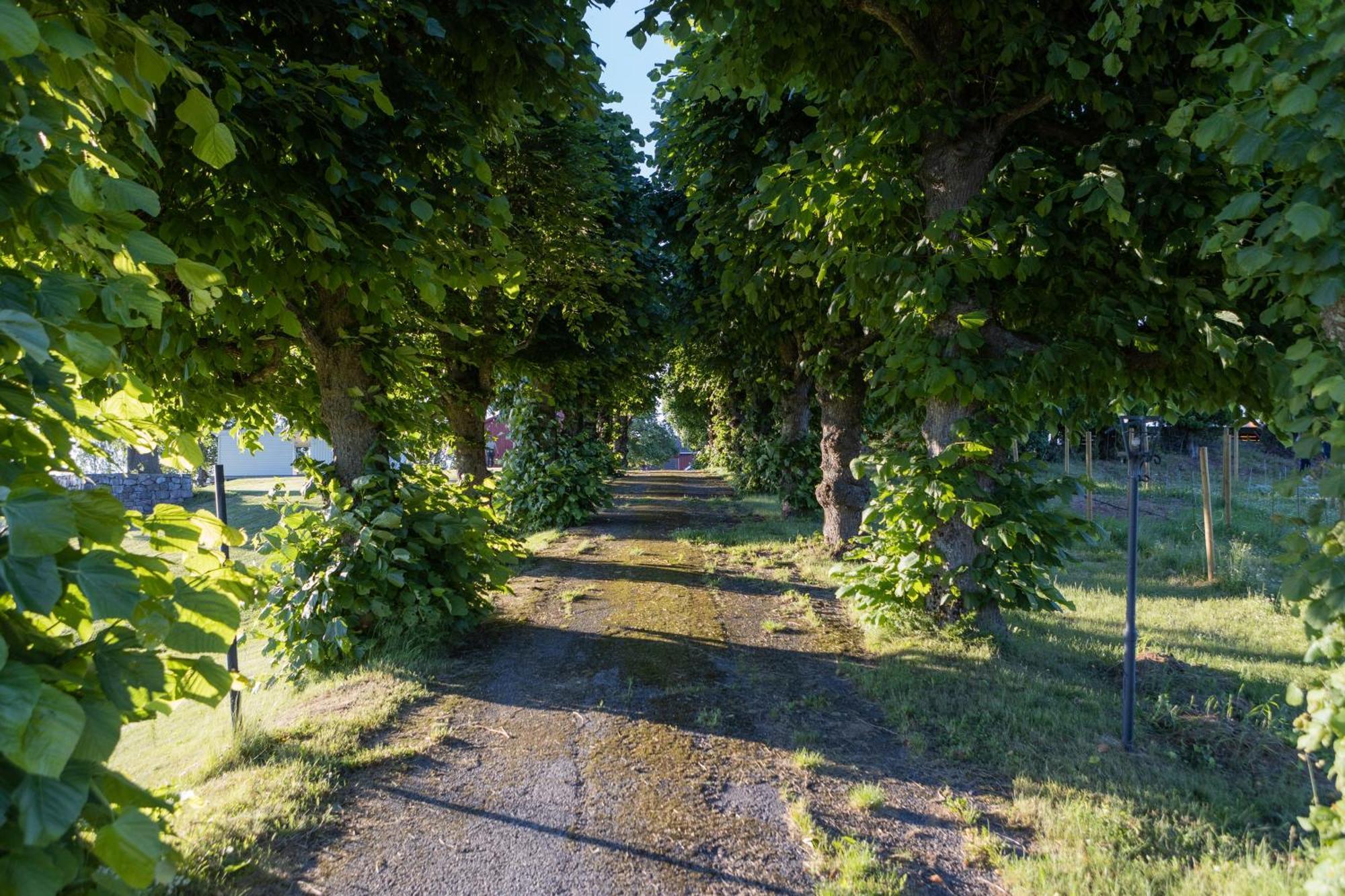Dal Gjestegaard Skoppum Luaran gambar